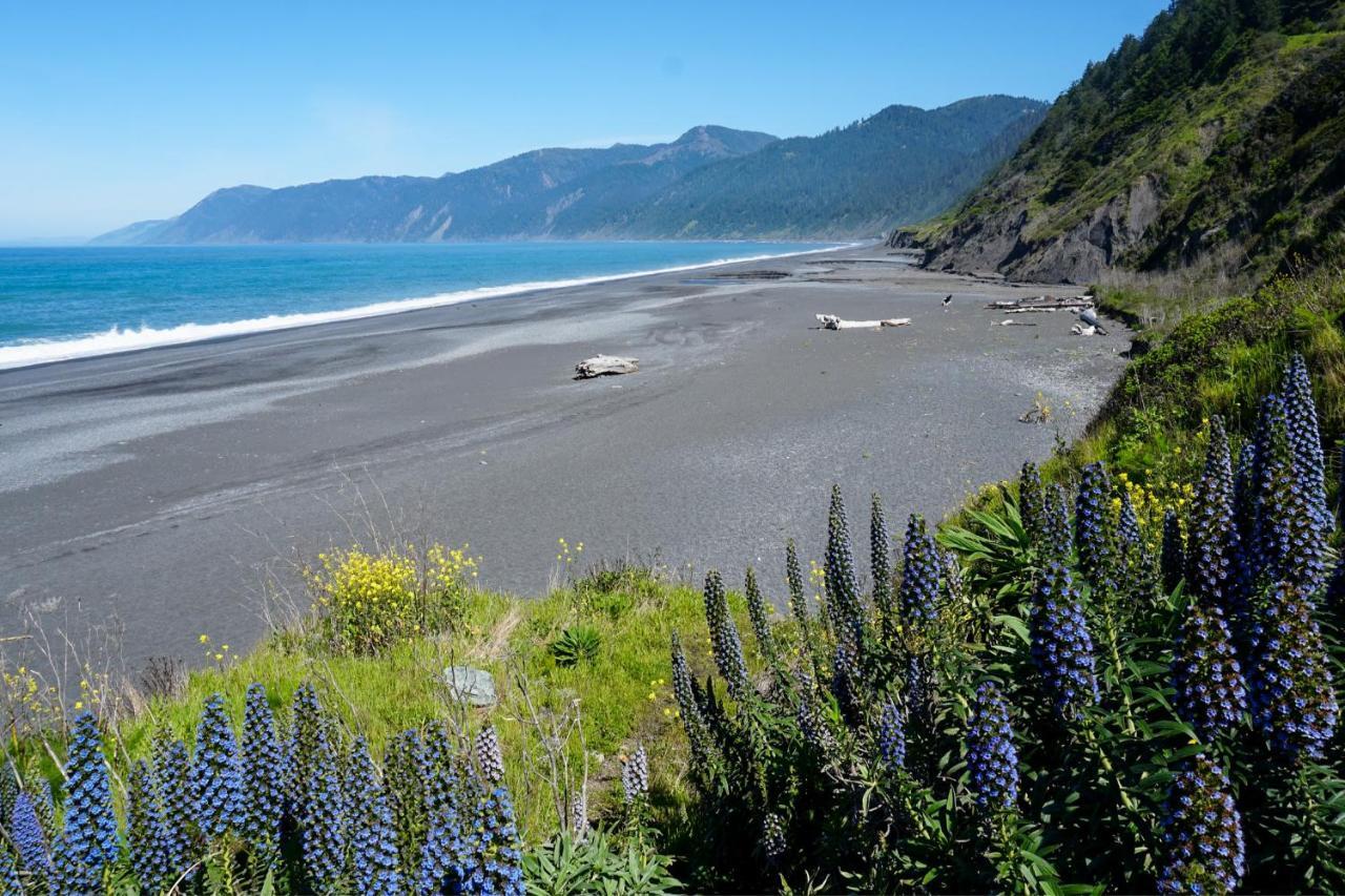 Lost Coast Hideaway Shelter Cove Exterior foto